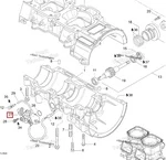 420888260 Маслонасос Для Ski Doo