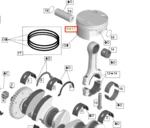 420890244 Поршень SEA DOO