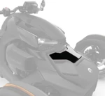 219400873 Капот Black All Ryker models