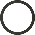 420427220 Кольцо Подшипника Для BRP Can Am