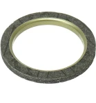 09-718028 SPI Уплотнительное Кольцо Глушителя Для Yamaha 821-14613-01-00, 82M-14613-01-00, 8DJ-14613-00-00, 89A-14613-00-00, 821-14613-00-00