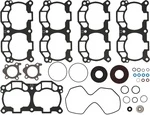 SM-09551F SPI Полный Комплект Прокладок И Сальников Для Ski Doo 600 420894370, 420894371