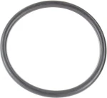 293300114 Кольцо Уплотнительное Для BRP Can Am DS 450