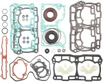 SM-09537F SPI Полный Комплект Прокладок И Сальников Для Ski Doo 850 E-TEC 420894265, 420894268, 420894263, SM-09530F