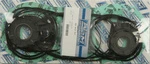 007-620 WSM Полный комплект прокладок BRP Sea-Doo 580  290993878, 420993878