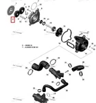 420835062 Шестерня Помпы 17 Зубьев Для Ski Doo 1200