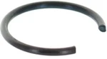 420845160 Кольцо Стопорное Двигателя Для Ski Doo 1996-2000 290845160