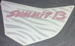 516007324 Наклейка Боковой Панели Summit B Левая Для Ski Doo SUMMIT 800 E-TEC 516007324 Наклейка Боковой Панели Summit B Левая Для Ski Doo SUMMIT 800 E-TEC