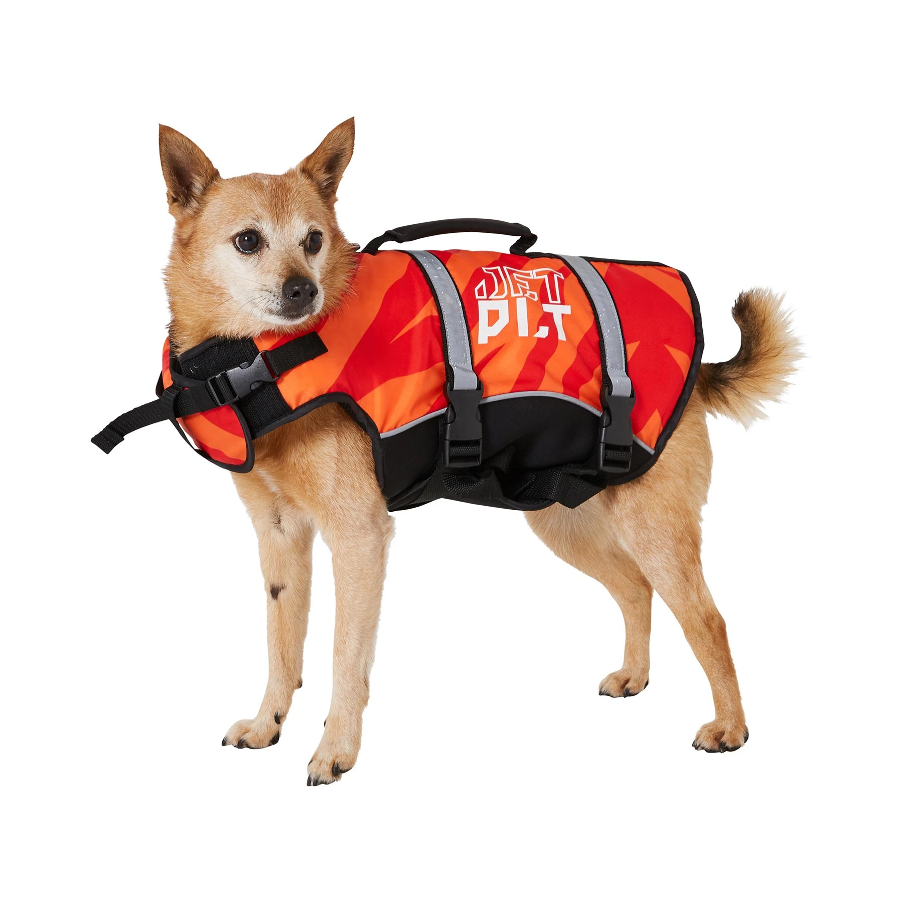 Жилет спасательный для собак JetPilot PFD, 24084