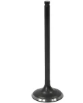 AU-09232I BRONCO Впускной Клапан Двигателя Для CF 0180-022004