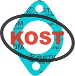 sn-000047 Kost Gasket Прокладка Крышки Термостата Для Ski Doo 420850338, 420850336