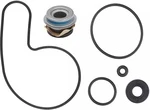 10-721217 SPI Ремкомплект Помпы Для Arctic Cat 3004-183