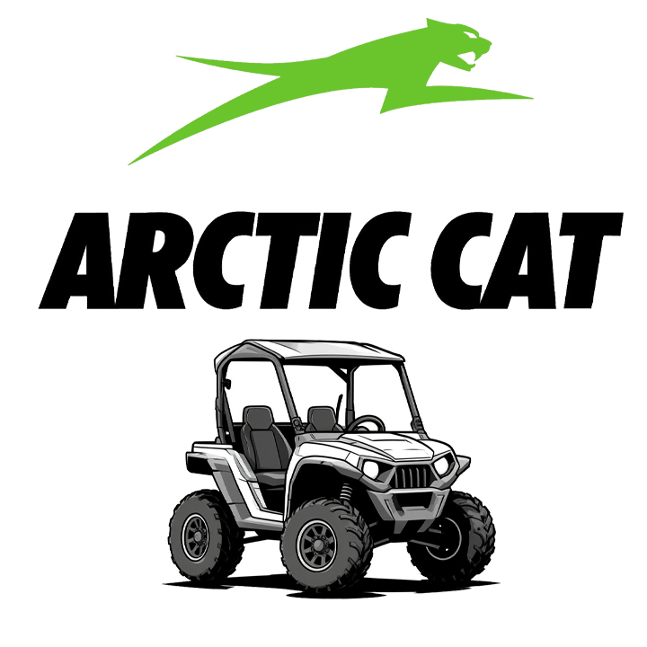 Arctic Cat Buggy