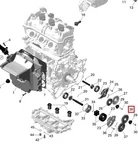 420835321 Шестерня Масляного Насоса Для Ski Doo