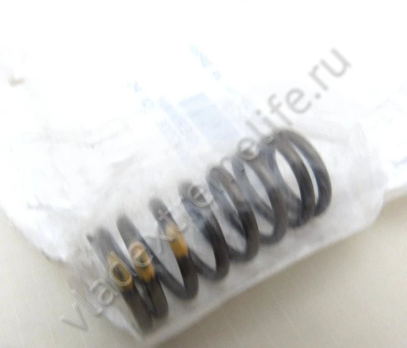 420838280 Пружина Клапана Двигателя Для Ski Doo 290838280 420838280 Пружина Клапана Двигателя Для Ski Doo 290838280