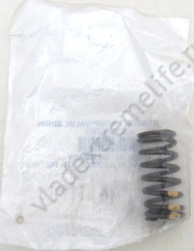 420838280 Пружина Клапана Двигателя Для Ski Doo 290838280 420838280 Пружина Клапана Двигателя Для Ski Doo 290838280