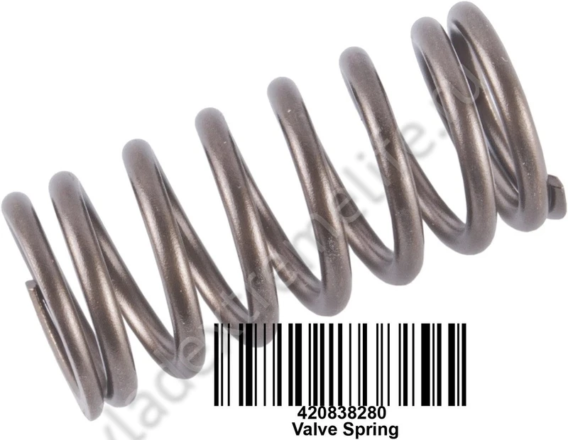 420838280 Пружина Клапана Двигателя Для Ski Doo 290838280 420838280 Пружина Клапана Двигателя Для Ski Doo 290838280
