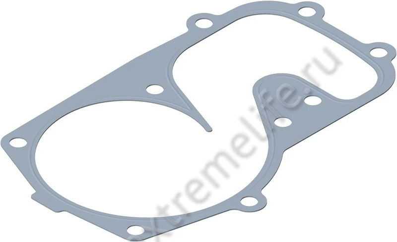5811601 Прокладка Помпы Для Polaris 5811432 5811601 Прокладка Помпы Для Polaris 5811432