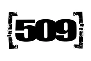 Линза 509 Sinister Поляризационная Затемненная Линза 509 Sinister Поляризационная Затемненная